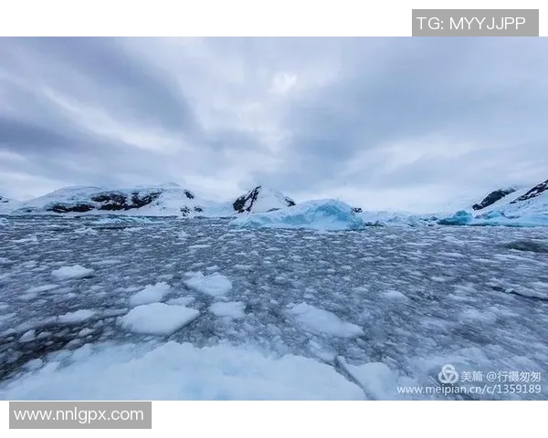 足球巨星阿里赛场辉煌与人生旅程全景解读